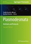 Plasmodesmata