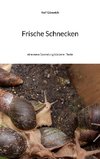 Frische Schnecken