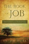 The Book of Job