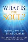 What Is the Soul?