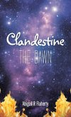 Clandestine