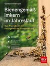 Bienengemäß imkern im Jahreslauf