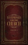 Testimonies for the Church Volume 3