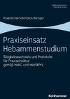 Praxiseinsatz Hebammenstudium