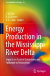 Energy Production in the Mississippi River Delta