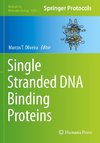 Single Stranded DNA Binding Proteins