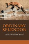 Ordinary Splendor