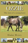 Ozzie - The story of a young horse