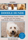 Doodle Hunde