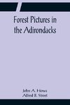 Forest Pictures in the Adirondacks