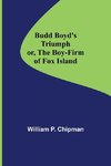 Budd Boyd's Triumph; or, The Boy-Firm of Fox Island