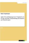 Agiles Preojektmanagement. Vergleich von Scrum, Extreme Programming und Kanban am Praxisbeispiel