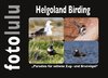 Helgoland Birding