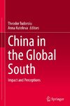 China in the Global South