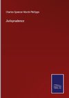 Jurisprudence