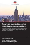 Analyse numérique des membrures composées