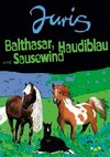 Balthasar, Haudiblau und Sausewind