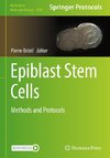 Epiblast Stem Cells