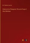 Historia de la Patagonia, Tierra de Fuego é Islas Malvinas