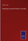 Wanderings among the Falashas in Abyssinia