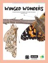 Winged Wonders