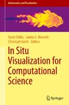 In Situ Visualization for Computational Science