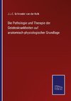 Die Pathologie und Therapie der Geisteskrankheiten auf anatomisch-physiologischer Grundlage