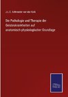 Die Pathologie und Therapie der Geisteskrankheiten auf anatomisch-physiologischer Grundlage