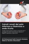 Calcoli renali del polo inferiore e litotrissia a onde d'urto