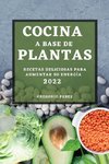 COCINA A BASE DE PLANTAS 2022