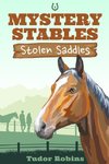 Stolen Saddles