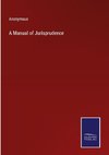 A Manual of Jurisprudence