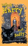 When Harry Met Saffy