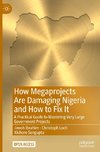 How Megaprojects Are Damaging Nigeria and How to Fix It