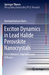 Exciton Dynamics in Lead Halide Perovskite Nanocrystals