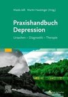 Praxishandbuch Depression