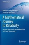 A Mathematical Journey to Relativity