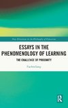 Essays in the Phenomenology of Learning