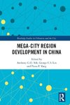 Mega-City Region Development in China