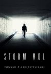 Storm Mdl