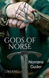 Gods of Norse (Norrøne Guder)