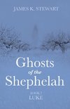 Ghosts of the Shephelah, Book 7