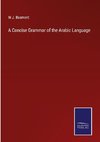 A Concise Grammar of the Arabic Language