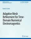 Adaptive Mesh Refinement in Time-Domain Numerical Electromagnetics