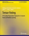 Tensor Voting