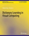 Dictionary Learning in Visual Computing