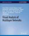 Visual Analysis of Multilayer Networks