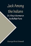 Jack Among the Indians; Or, A Boy's Summer on the Buffalo Plains