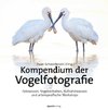 Kompendium der Vogelfotografie