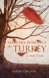 My Risky Romance in Turkey